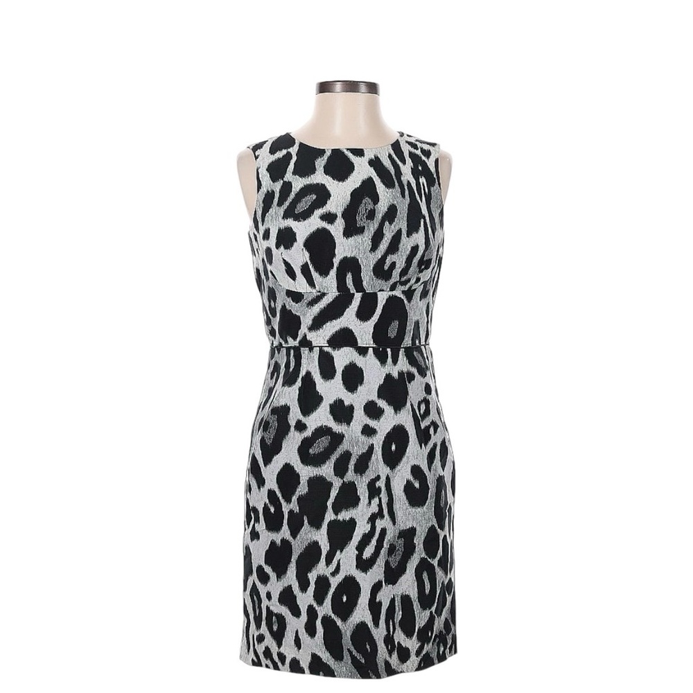 Ann Taylor Leopard Dress Fully lined Size 8 EUC